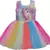 Multicolor Net stitched    dress