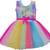 Multicolor Net stitched    dress