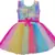 Multicolor Net stitched    dress