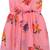 Pink Georgette stitched    dress