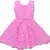 Pink Net stitched    dress