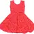 Red Net stitched    dress