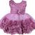 Purple Net stitched    dress