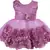 Purple Net stitched    dress