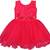 Pink Net stitched    dress
