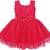 Red Net stitched    dress