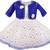 blue Net stitched    dress