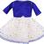 blue Net stitched    dress
