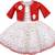 Red Net stitched    dress