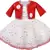Red Net stitched    dress