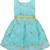 Green Georgette stitched    dress
