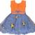 Orange Net stitched    dress