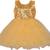 Yellow Net stitched    dress