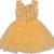 Yellow Net stitched    dress