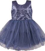 Grey Net stitched    dress