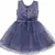 Grey Net stitched    dress
