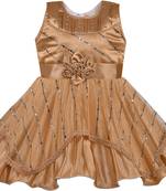Gold Net stitched    dress