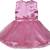 Pink Net stitched    dress