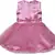 Pink Net stitched    dress