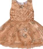 Beige Net stitched    dress