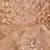 Beige Net stitched    dress