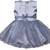 Grey Net stitched    dress