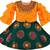 Multicolor Silk stitched    dress