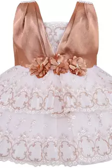 Brown Net stitched    dress