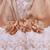 Brown Net stitched    dress