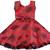 Red satin stitched    dress