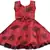 Red satin stitched    dress