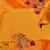 Orange satin stitched    dress