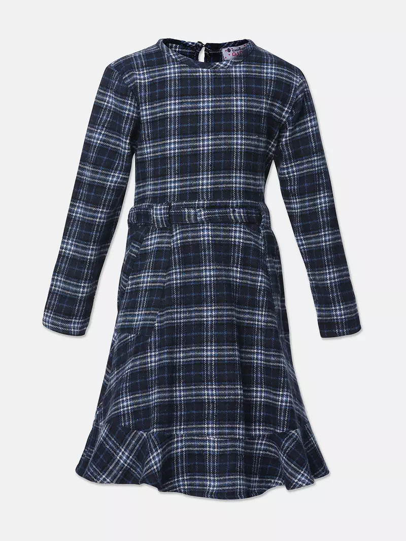 Quirky blue brush chcek girl dress