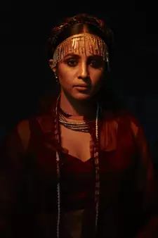 Maroon embroidered organza lehenga