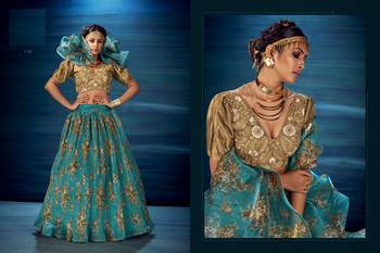 Sky-blue embroidered organza semi stitched lehenga 2