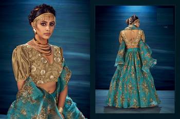 Sky-blue embroidered organza semi stitched lehenga 3