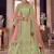 Light-green zarkan, gota and thread embroidered organza semi stitched lehenga