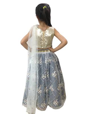 Aglare embroidered Beautiful lehenda choli with atteched dupatta. silver 2