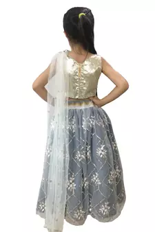 Aglare embroidered Beautiful lehenda choli with atteched dupatta. silver