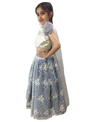 Aglare embroidered Beautiful lehenda choli with atteched dupatta. silver 3