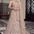 peach colored mirror, zari, zarkan, thread, embroidered organza semi stitched lehenga