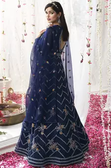 Navy blue embroidered net salwar