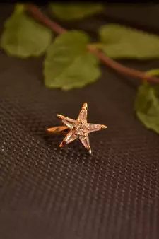 Sizzling gold floral diamond cubic zirconia clipon nose-ring or nosepin