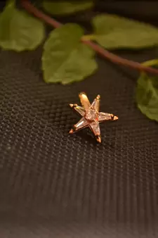 Sizzling gold floral diamond cubic zirconia clipon nose-ring or nosepin