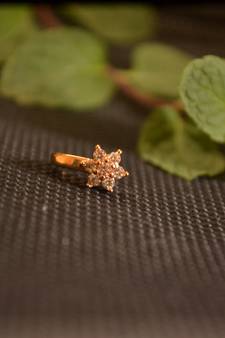 Sizzling gold floral diamond cubic zirconia clipon nose-ring or nosepin