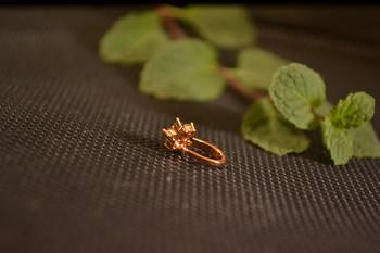 Sizzling gold floral diamond cubic zirconia clipon nose-ring or nosepin 2