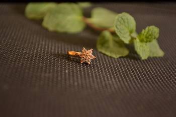 Sizzling gold floral diamond cubic zirconia clipon nose-ring or nosepin 3