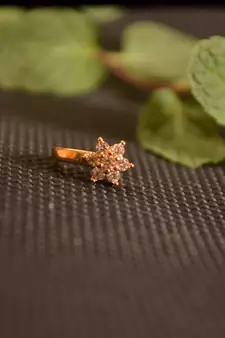 Sizzling gold floral diamond cubic zirconia clipon nose-ring or nosepin