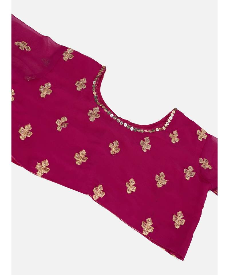 Rani Pink Embroidered Sequence Georgette Lehenga Choli