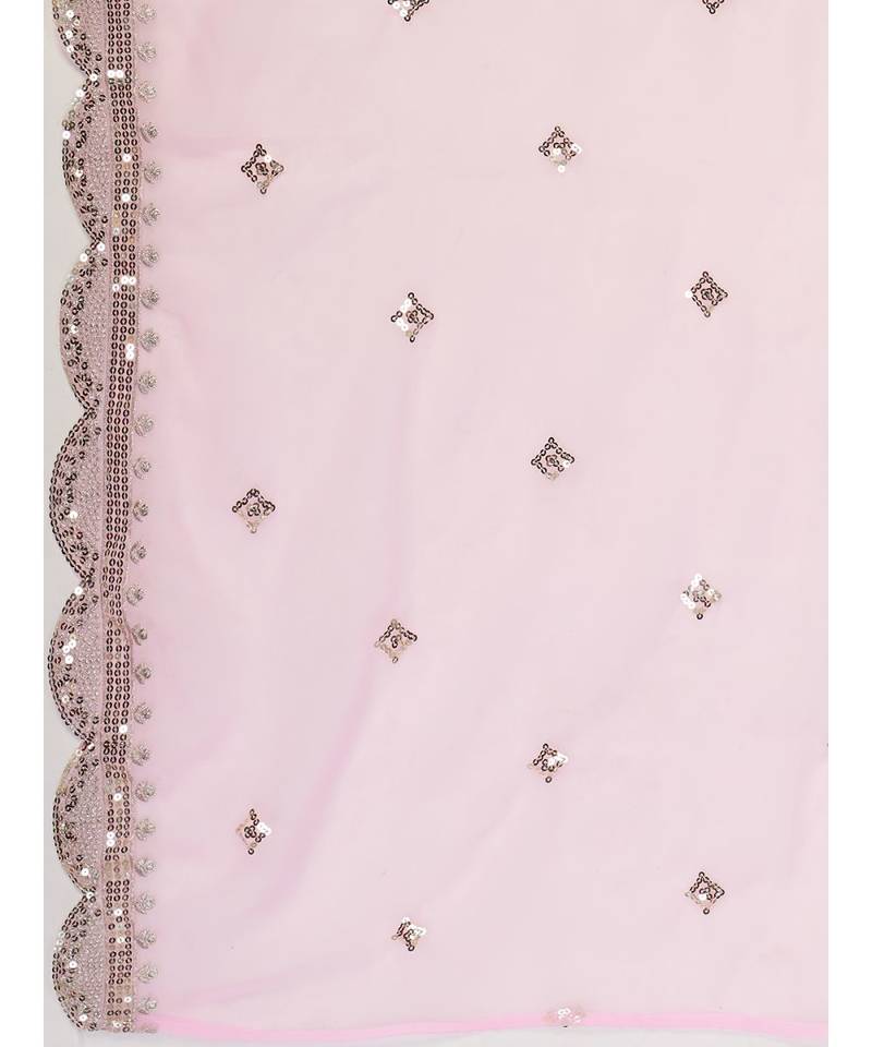 Ice Blue or Pink Sequence Worked Lehenga Choli